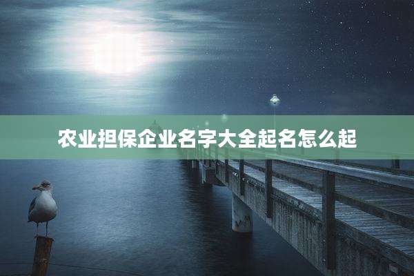 农业担保企业名字大全起名怎么起