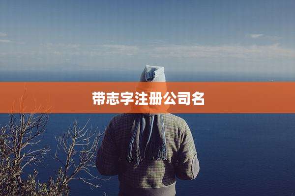 带志字注册公司名