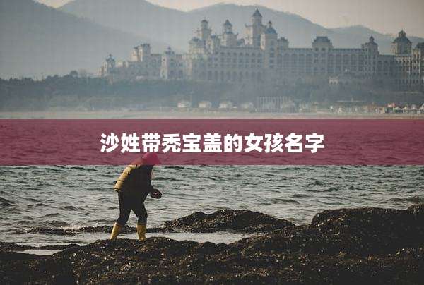 沙姓带秃宝盖的女孩名字