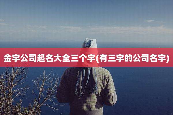 金字公司起名大全三个字(有三字的公司名字)