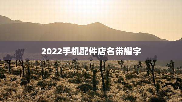 2022手机配件店名带耀字
