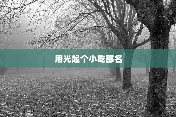 用光起个小吃部名