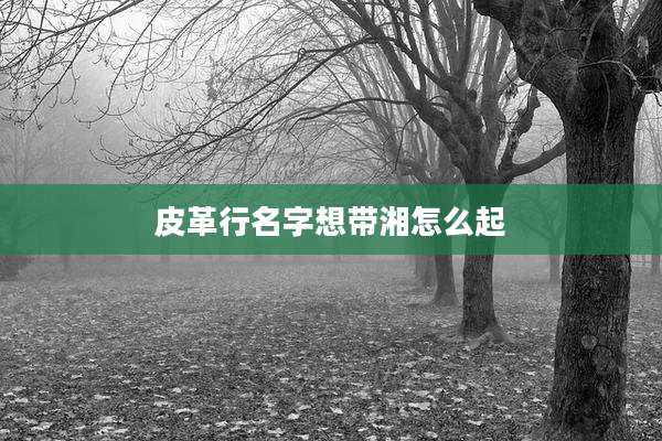 皮革行名字想带湘怎么起