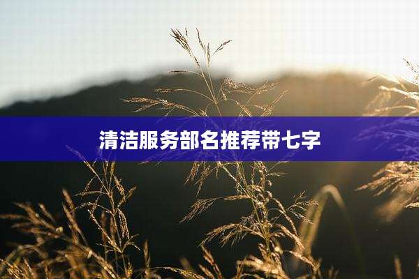 清洁服务部名推荐带七字