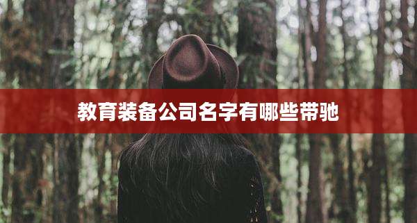 教育装备公司名字有哪些带驰