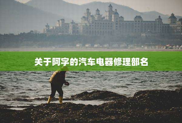 关于阿字的汽车电器修理部名