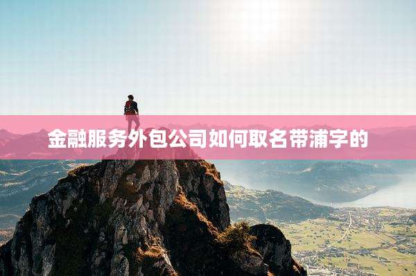 金融服务外包公司如何取名带浦字的