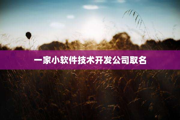 一家小软件技术开发公司取名