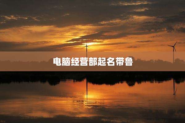 电脑经营部起名带鲁