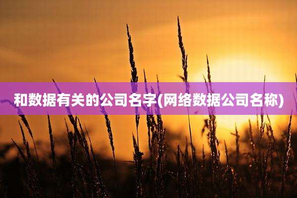 和数据有关的公司名字(网络数据公司名称)
