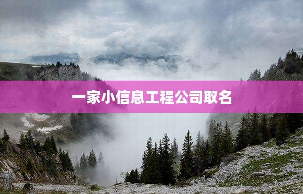 一家小信息工程公司取名