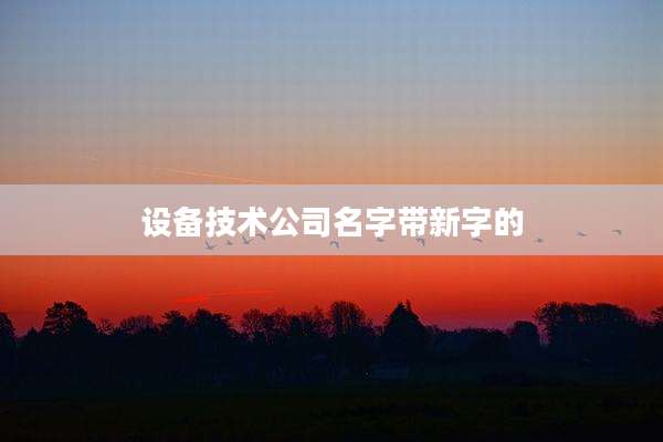 设备技术公司名字带新字的