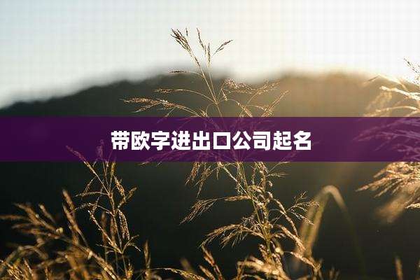 带欧字进出口公司起名