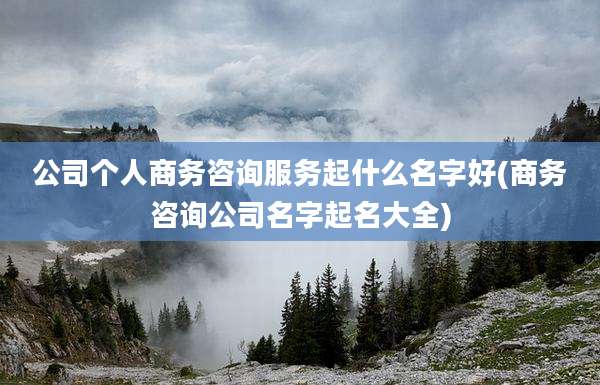 公司个人商务咨询服务起什么名字好(商务咨询公司名字起名大全)
