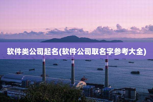 软件类公司起名(软件公司取名字参考大全)