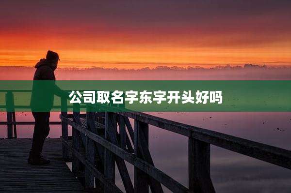 公司取名字东字开头好吗