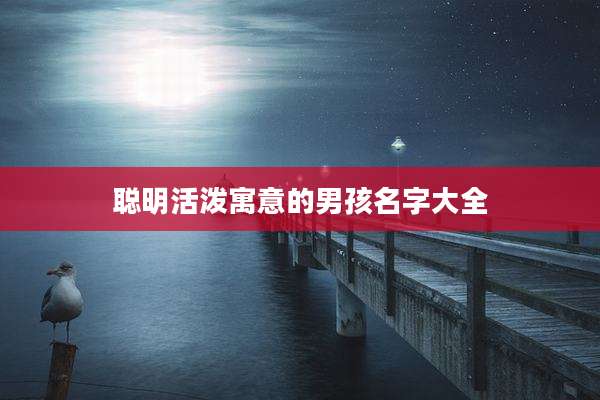 聪明活泼寓意的男孩名字大全