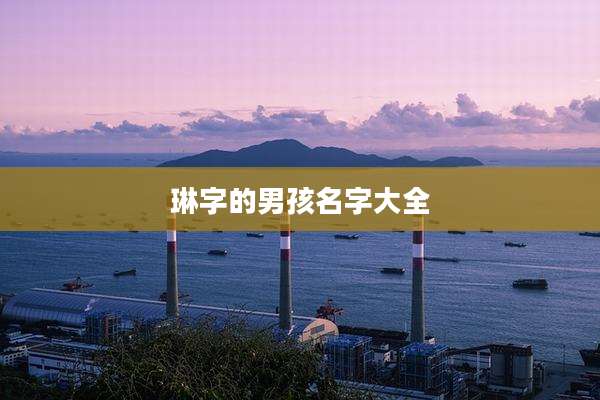 琳字的男孩名字大全