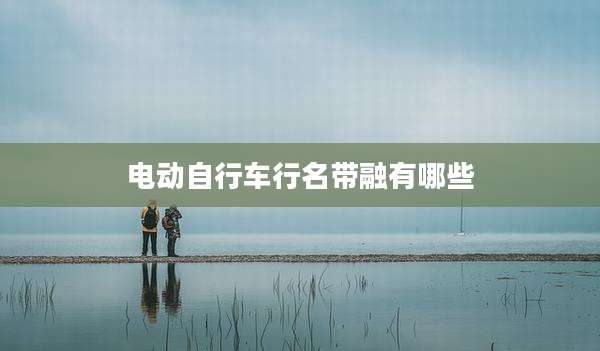 电动自行车行名带融有哪些