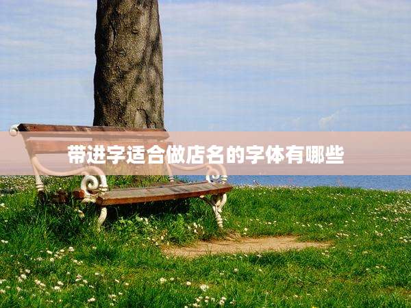 带进字适合做店名的字体有哪些