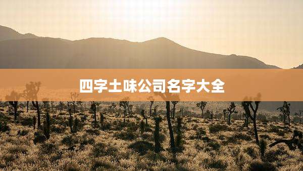 四字土味公司名字大全