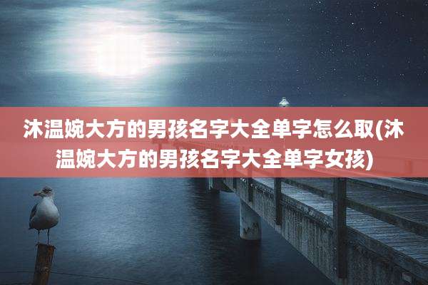 沐温婉大方的男孩名字大全单字怎么取(沐温婉大方的男孩名字大全单字女孩)