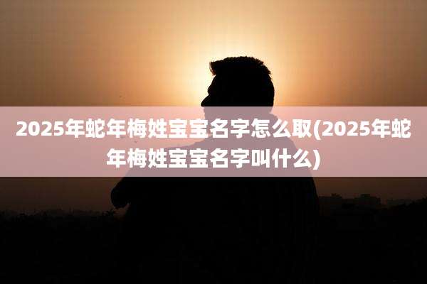 2025年蛇年梅姓宝宝名字怎么取(2025年蛇年梅姓宝宝名字叫什么)