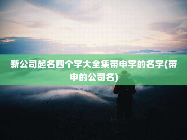 新公司起名四个字大全集带申字的名字(带申的公司名)