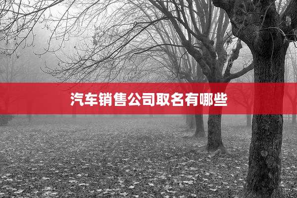 汽车销售公司取名有哪些