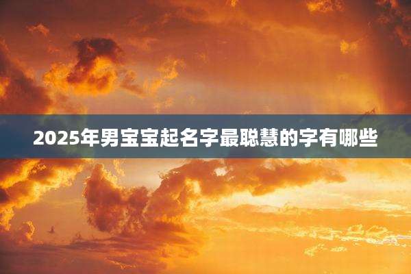 2025年男宝宝起名字最聪慧的字有哪些