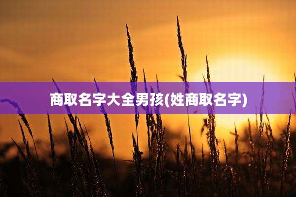 商取名字大全男孩(姓商取名字)