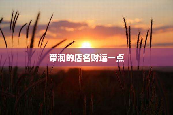 带润的店名财运一点