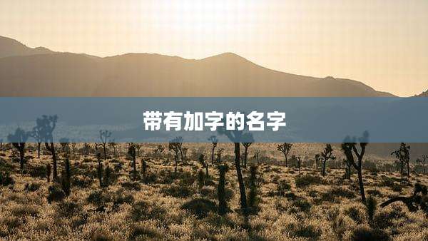 带有加字的名字