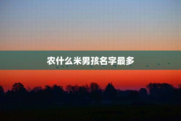 农什么米男孩名字最多