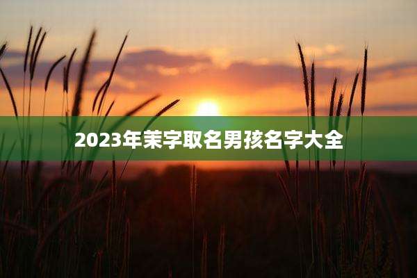 2023年茉字取名男孩名字大全