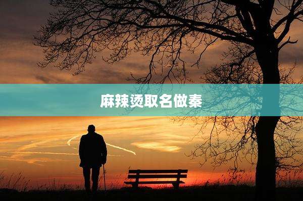 麻辣烫取名做秦