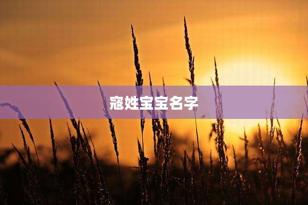 寇姓宝宝名字