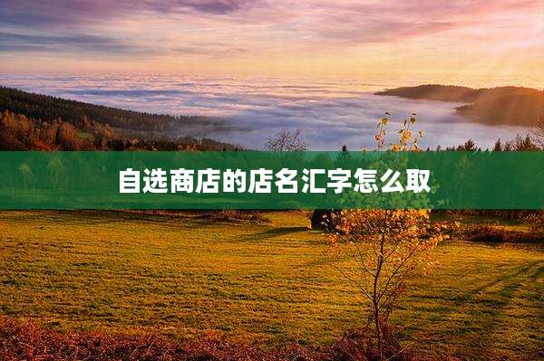 自选商店的店名汇字怎么取