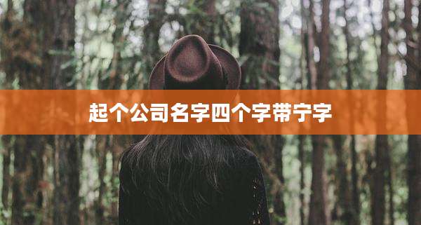 起个公司名字四个字带宁字