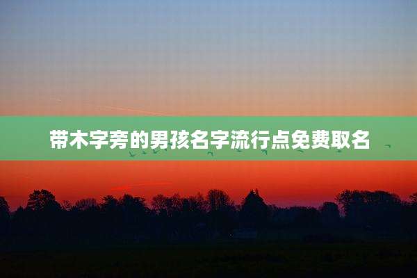 带木字旁的男孩名字流行点免费取名