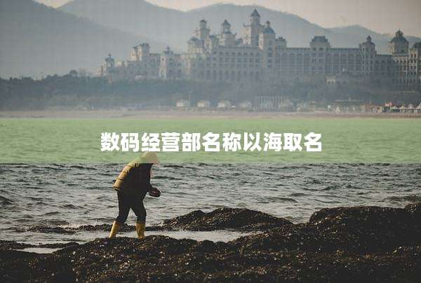数码经营部名称以海取名