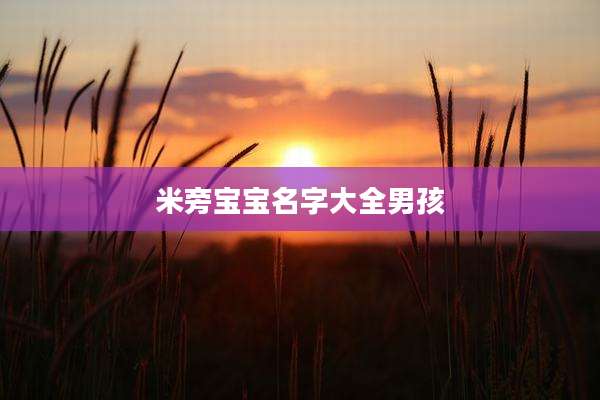 米旁宝宝名字大全男孩