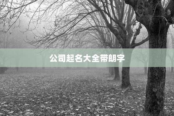 公司起名大全带朗字