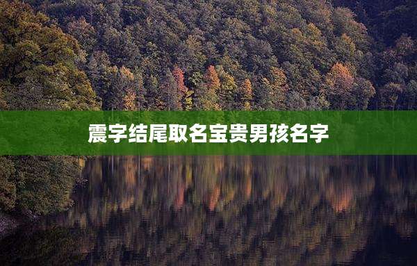 震字结尾取名宝贵男孩名字