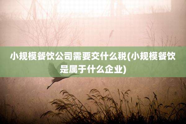 小规模餐饮公司需要交什么税(小规模餐饮是属于什么企业)