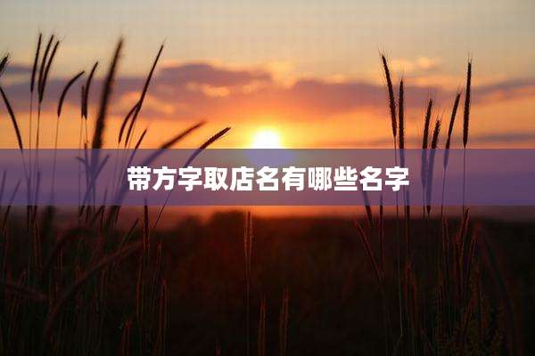 带方字取店名有哪些名字