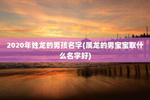 2020年姓龙的男孩名字(属龙的男宝宝取什么名字好)
