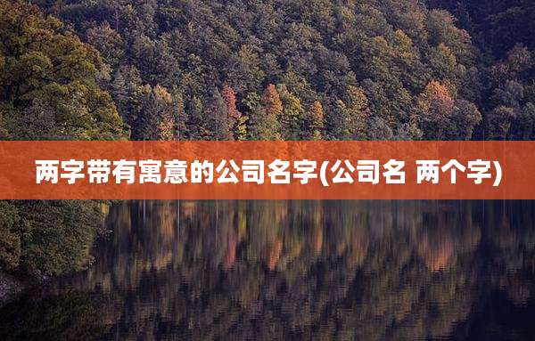 两字带有寓意的公司名字(公司名 两个字)