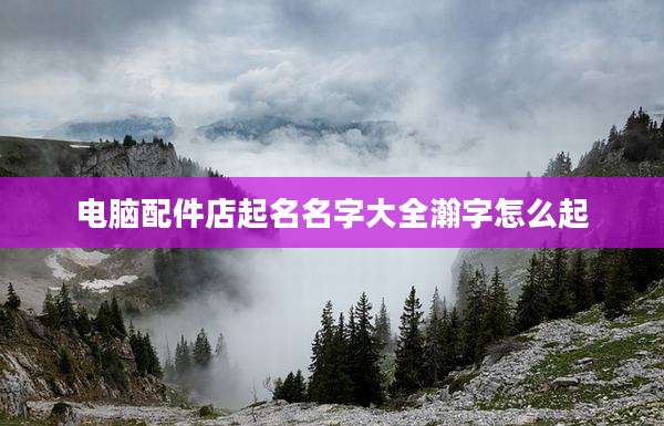 电脑配件店起名名字大全瀚字怎么起