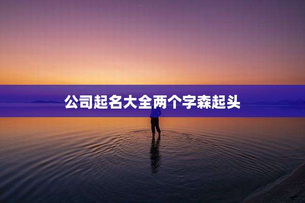 公司起名大全两个字森起头
